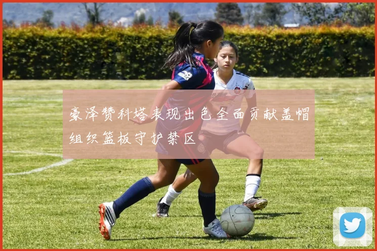 豪泽赞科塔表现出色全面贡献盖帽组织篮板守护禁区