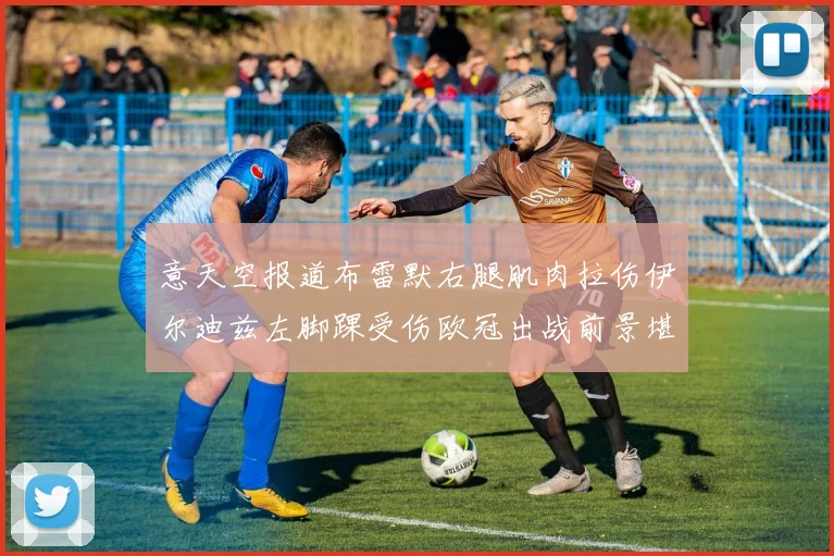 意天空报道布雷默右腿肌肉拉伤伊尔迪兹左脚踝受伤欧冠出战前景堪忧