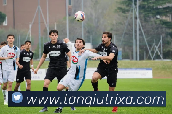 谈球体育平台生态图